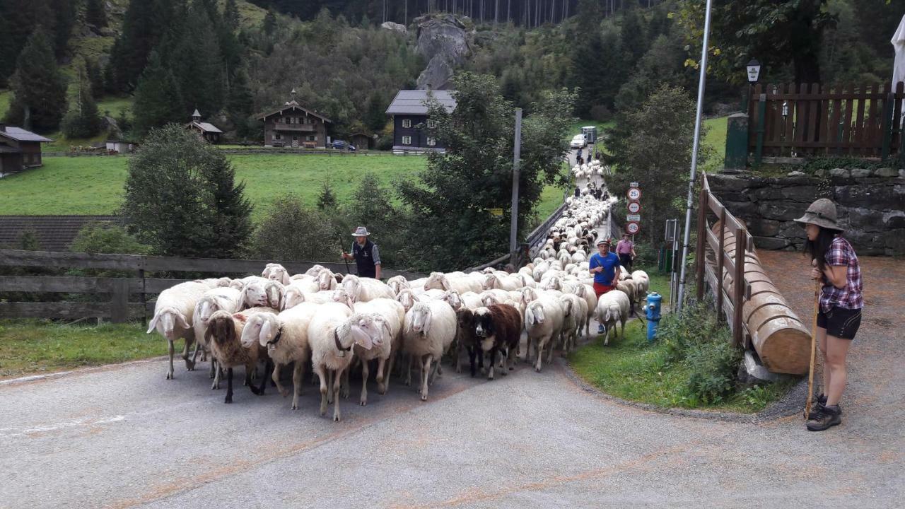 Fewo "Unterm Wald" Stumm Zewnętrze zdjęcie